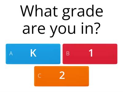 Executive Functioning Data