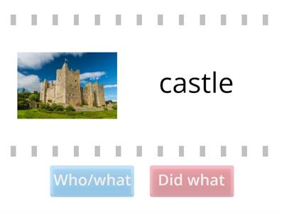 who or what/did what