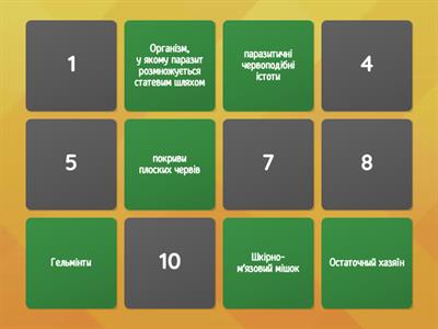 Плоскі черви