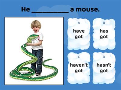 have got/has got