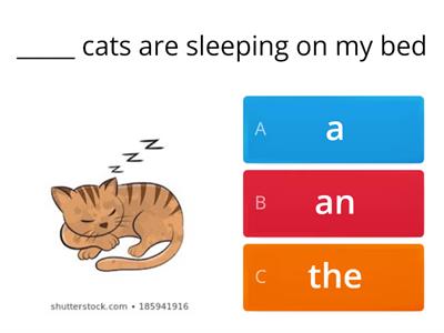 Definite and indefinite articles 