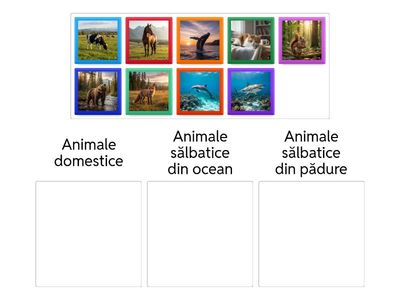 Sortare - animale domestice/sălbatice