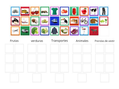 CATEGORIZACIÓN (categorías semánticas básicas)