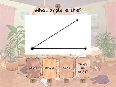 Angles (acute, obtuse, right) 