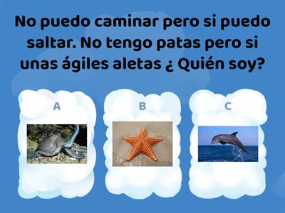 Razonamiento animales