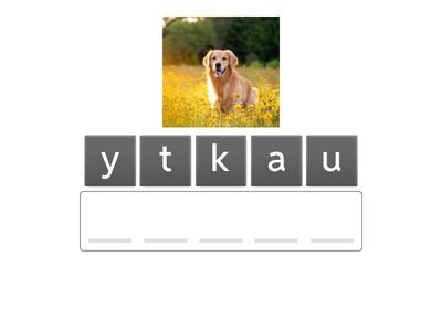 1. Házi állatok (emlősök) 