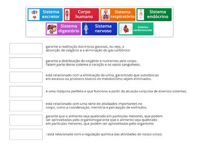 Sistemas do corpo humano