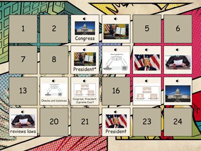 Gov Branches & Checks and Balances