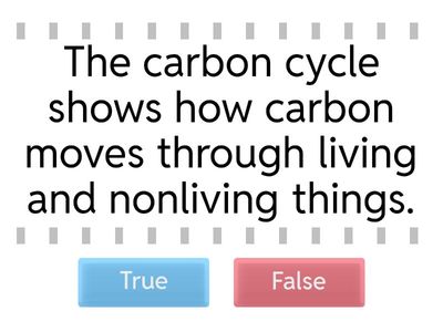 Carbon Cycle