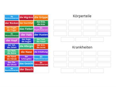 Beim Arzt: Ordne die Wörter der richtigen Gruppe zu.