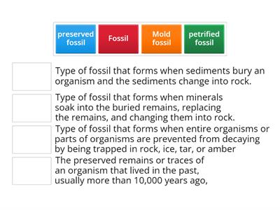 fossils 