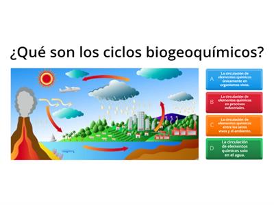 Ciclos biogeoquímicos