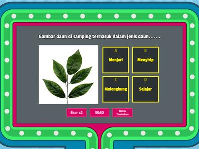 Struktur dan Fungsi Tumbuhan