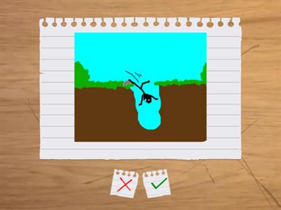 prepositions of movement 6E