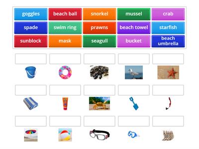 Beach Vocabulary