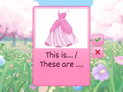 This is / These are clothes 