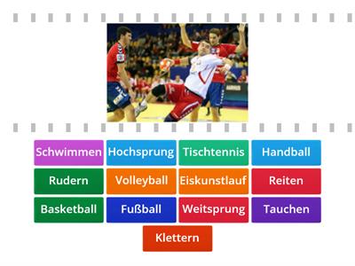  Die Sportarten