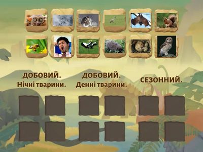 Фотоперіодизм тварин (11 кл.)