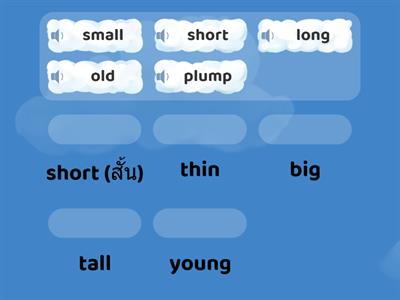 Match the opposites - Appearance