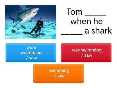  Past Simple and Past Continuous