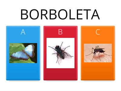 ASSOCIAÇÃO DE PALAVRAS E IMAGENS - INSETOS