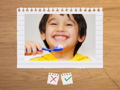 Daily Routine Verbs. 