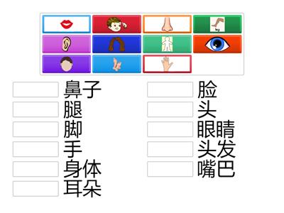 ESC1L15 人体部位