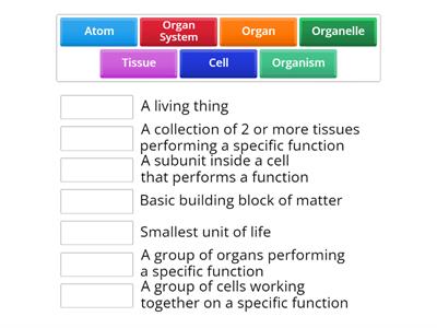 Levels of Organization