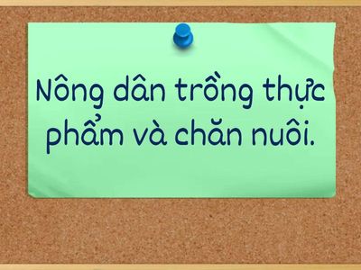 Jobs and What They Do