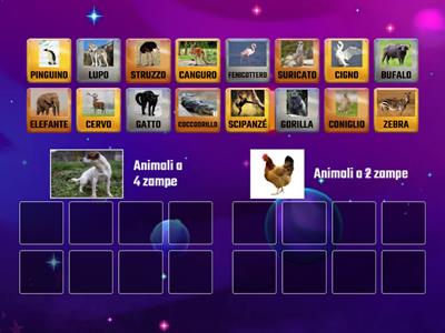 CATEGORIZZAZIONE - Animali a 2/4 zampe