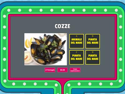  FLORA E FAUNA DEL MARE- Maestra Sandra