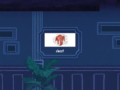 intermediate 1 first part vocabulary