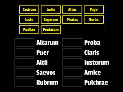 Abbina sostantivi ed aggettivi (I classe) in modo opportuno 