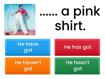 Positive, negative, questions - Have got / has got