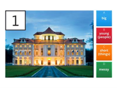 AEF Starter - Common adjectives