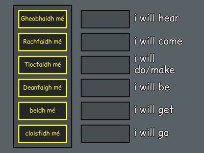 Briathra Neamhrialta