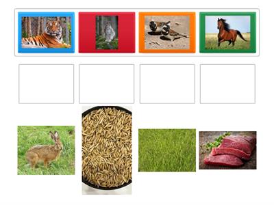 Жаратылыстану