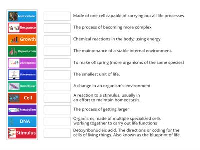 Characteristics of Life - Vocabulary Matching