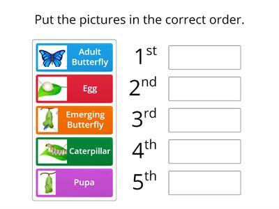 Life Cycle of a Butterfly