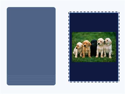 What number do you see?