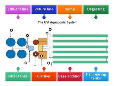 UVI Aquaponic System