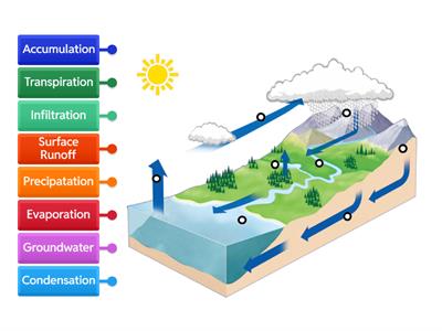 Water Cycle Labeled Diagram