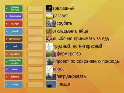 Starlight 6. Module 5e. Part2