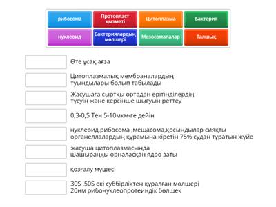 Микробиология 