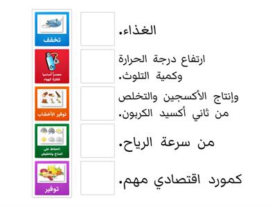 أهمية زراعة الأشجار على كوكب الأرض