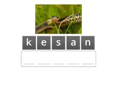 Words from the first group (anagrams)