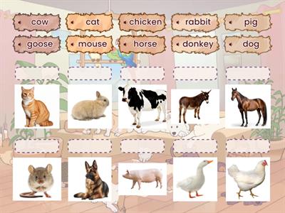 Animals BASIC English A1