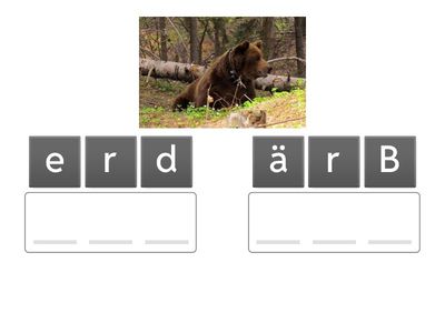 Anagram Tiere