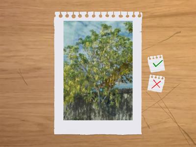 造園丙級植物識別