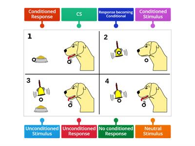 Pavlov's dogs diagram 